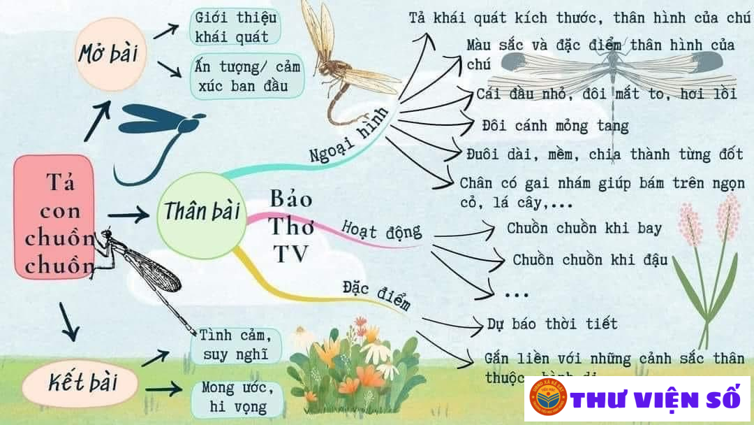 SƠ ĐỒ TƯ DUY TẢ CON VẬT