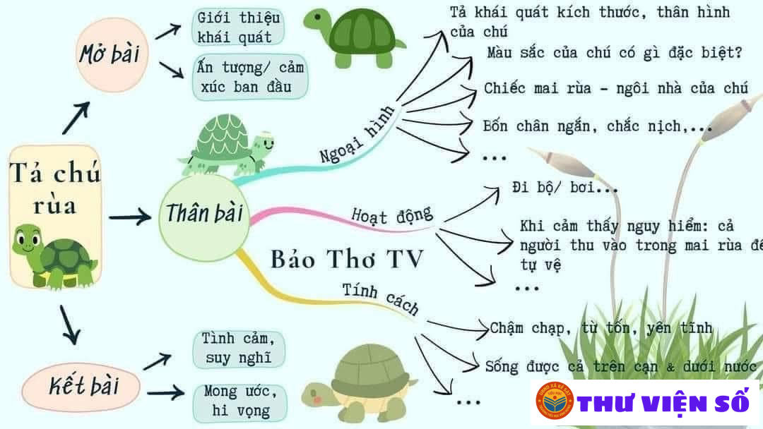 SƠ ĐỒ TƯ DUY TẢ CON VẬT